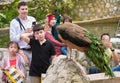 People look at peacock in Kuala Lumpur bird park Royalty Free Stock Photo