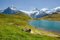 People looking at Bachsee, Alps, Switzerland Royalty Free Stock Photo