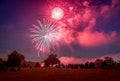 People looking at fireworks in honor of Independence Day Royalty Free Stock Photo
