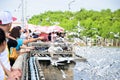 Bangpu, Thailand : People looking seagull.