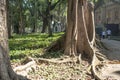 People on Luz Public Park in downtowns Sao Paulo. This is the city's first public park Royalty Free Stock Photo