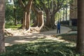 People on Luz Public Park in downtowns Sao Paulo. This is the city's first public park Royalty Free Stock Photo