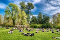 People lying on the grass in Parco Sempione in Milan, italy