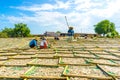 People make dried fish from anchovies in Phan Rang, Ninh Thuan, Vietnam