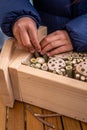 People making wooden insect house. Hands of child making insect hotel. Environment protection Royalty Free Stock Photo