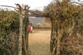 Nairobi - September 12, 2017, Massai people from a village standing under a tree in the desert