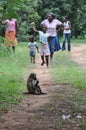 People and Monkey, Africa