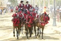 People mounted on a carriage horse, on fair