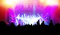 People on music concert, disco Royalty Free Stock Photo