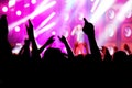 People on music concert, disco Royalty Free Stock Photo