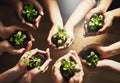 People, nature and plant for growth with hands, earth day with support for environment and natural recourses