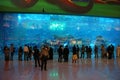 People near oceanarium inside Dubai Mall in United Arab Emirates