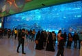 People near oceanarium inside Dubai Mall in United Arab Emirates