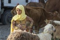 People at Nizwa goat market