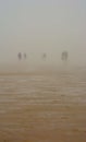 People at the northsea in a spooky mist