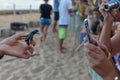 People observing baby turtles on Tamar project at Praia do Forte in Brazil