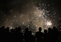People observing fireworks Royalty Free Stock Photo