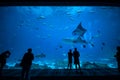 People observing fish at the aquarium 3 Royalty Free Stock Photo