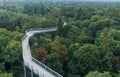 People over the Baumkronenpfad Beelitz-HeilstÃÂ¤tten, a 320m treetop walkway just outside Berlin, Germany.