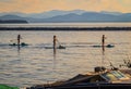 People on paddle boards enjoying the Burlington Waterfront Royalty Free Stock Photo