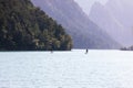 People paddlesurfing in the swamp