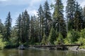 People paddling a boat on a river surrounded by greenery in Yakutat, Alaska