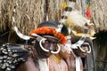 People of a Papuan tribe in traditional clothes