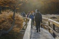 People passing wooden bridge, laguna esmeralda hiking trail