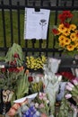 PEOPLE PAY TRIBUTE TO BRUSSELS VICTIMS