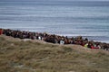 People in a peaceful demonstration on a beach to protect it from construction