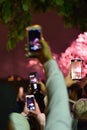 People Photographing the Fireworks of Bastille Day with Their Cellphones in Paris, France