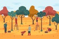 People pick crop in a orchard, vector background