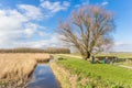 People at the picknick table in Kardinge recreation area near Groningen Royalty Free Stock Photo