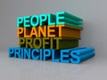 People Planet Profit Principles