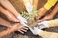 People planting the tree for celebrate King birthday of Thailand