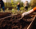 People planting trees or working in a community. A group of people working in a garden