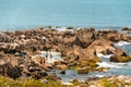 People playing and having fun at a rocky beach