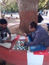 People playng chess under the tree in the park
