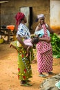 People in PORTO-NOVO, BENIN Royalty Free Stock Photo