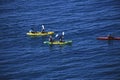 People practicing canoeing on the Sirens Reef in Cabo de Gata