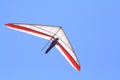 People practicing hanggliding over the lake of valle de bravo, mexico III