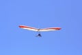 People practicing hanggliding over the lake of valle de bravo, mexico IV