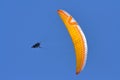 People practicing paragliding in a blue sky IIII Royalty Free Stock Photo