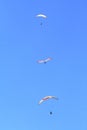 People practicing paragliding in a blue sky X Royalty Free Stock Photo