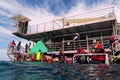People prepare to snorkelling and dive from a platform in the Gr