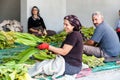 People processed tobacco leaves to create first-class cigarettes