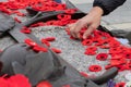 People put poppy flowers on Tomb of the Unknown Soldier in Ottawa, Canada on Remembrance Day. Royalty Free Stock Photo