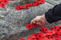 People put poppy flowers on Tomb of the Unknown Soldier in Ottawa, Canada on Remembrance Day. Royalty Free Stock Photo
