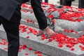 People put poppy flowers on Tomb of the Unknown Soldier in Ottawa, Canada on Remembrance Day. Royalty Free Stock Photo