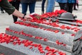 People putting poppy flowers on Tomb of the Unknown Soldier in Ottawa, Canada on Remembrance Day. Royalty Free Stock Photo